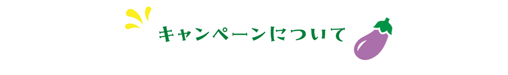 キャンペーンについて