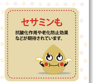 セサミんも抗酸化作用や老化防止効果などが期待されています。