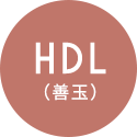 HDL（悪玉）