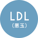 LDL（善玉）